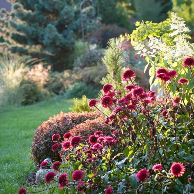Divine, dans les jardins
 "Il y a quatre ans, j’ai rejoint mon père pour nourrir à ses côtés l’aventure DIVINE. Pour nous, l’odorat est  une fenêtre ouverte sur la beauté du monde.
Pourtant si l’odorat est un chemin merveilleux pour se relier à la nature, il reste peu emprunté.
 
C’est pourquoi, avec DIVINE, il nous tient à cœur de vous offrir des moments pour explorer le monde à travers l’olfactif.
Des ateliers dans nos boutiques, bien sûr, mais aussi de plus en plus de promenades olfactives au cœur des jardins.
 
J’espère vous y rencontrer bientôt,
Céline."
.
.
Photo @hortusinspirante